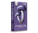 Podhoubí: Severní Amerika