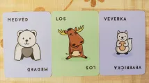 Losy lesy lákají