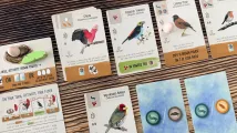Wingspan Pocket