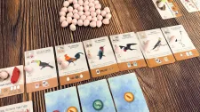 Wingspan Pocket