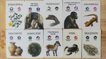 Pravěk: Od trilobita k člověku