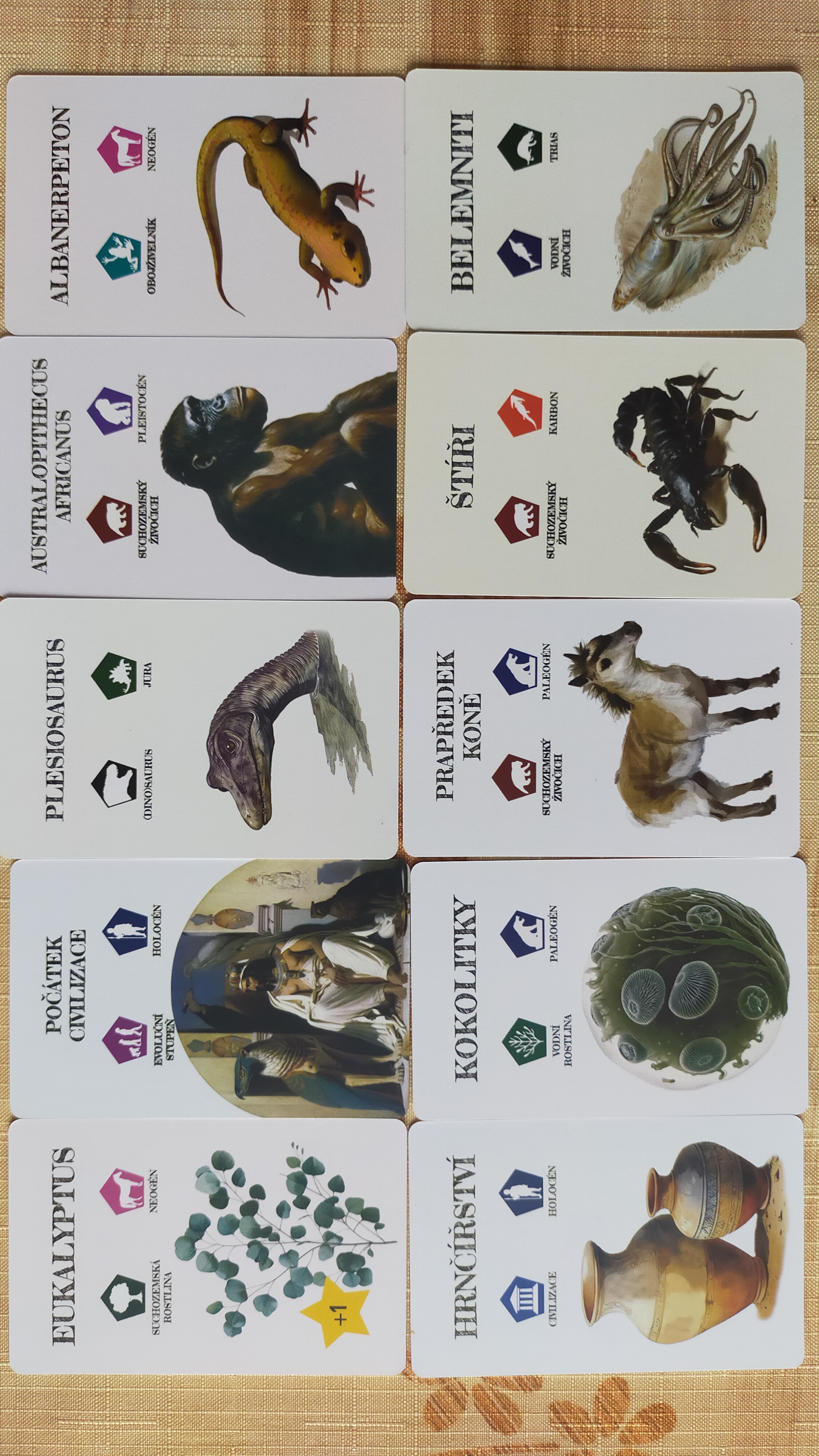 Pravěk: Od trilobita k člověku