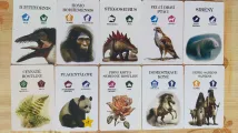 Pravěk: Od trilobita k člověku