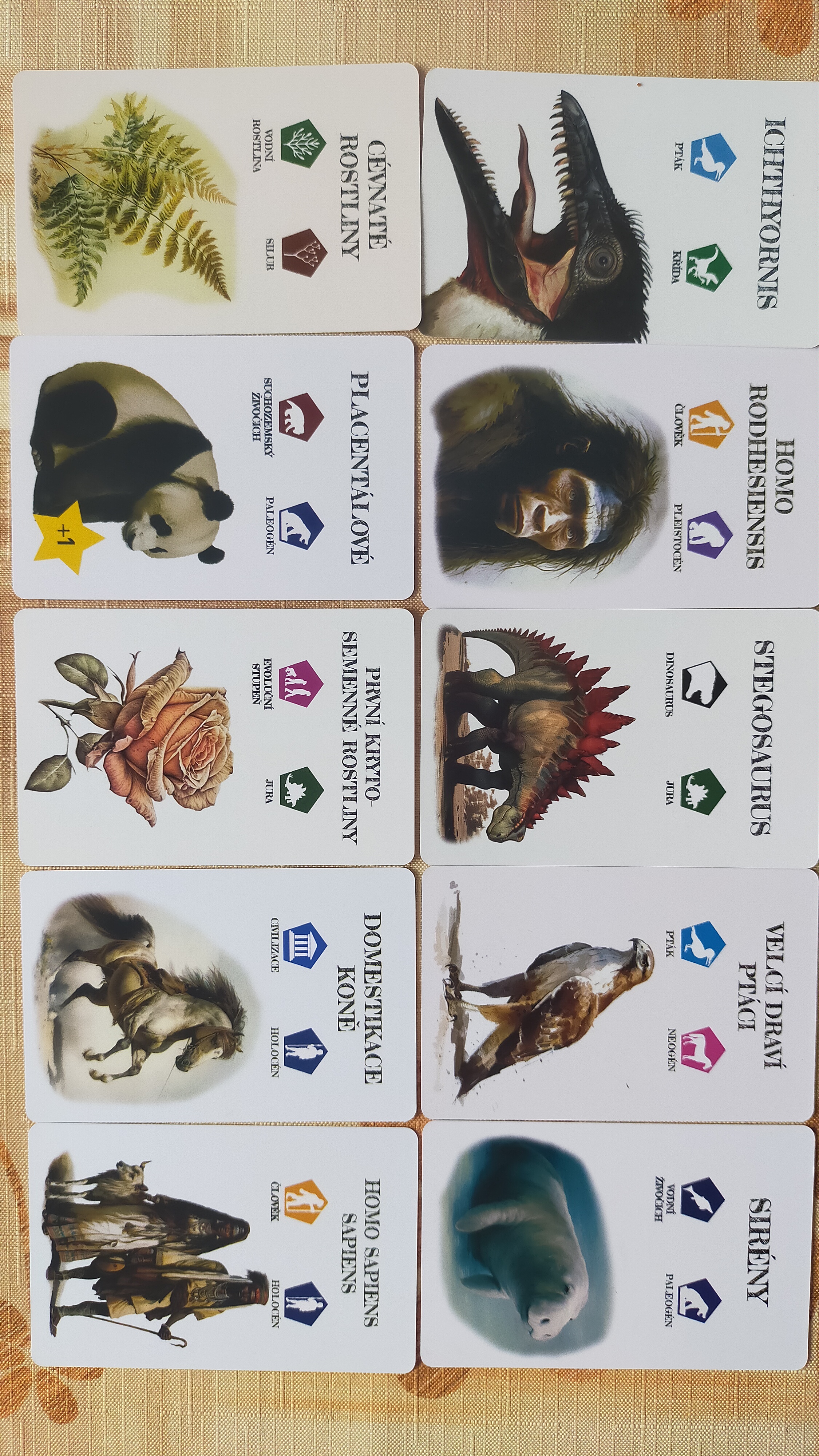 Pravěk: Od trilobita k člověku