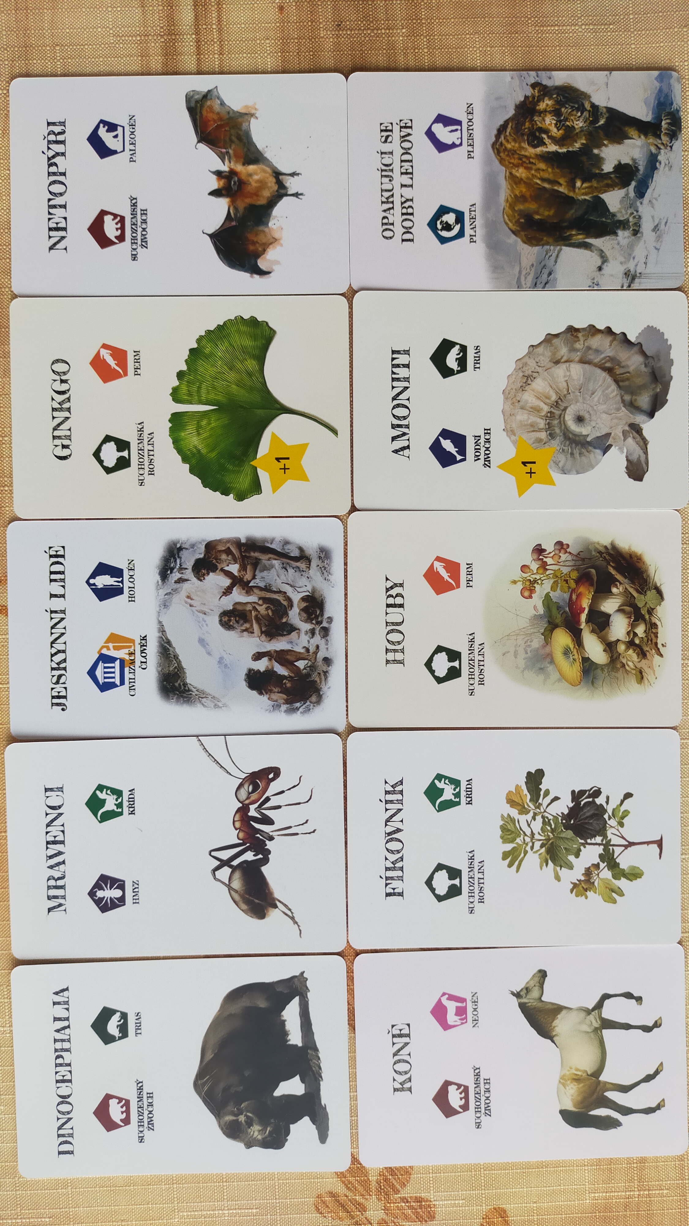 Pravěk: Od trilobita k člověku