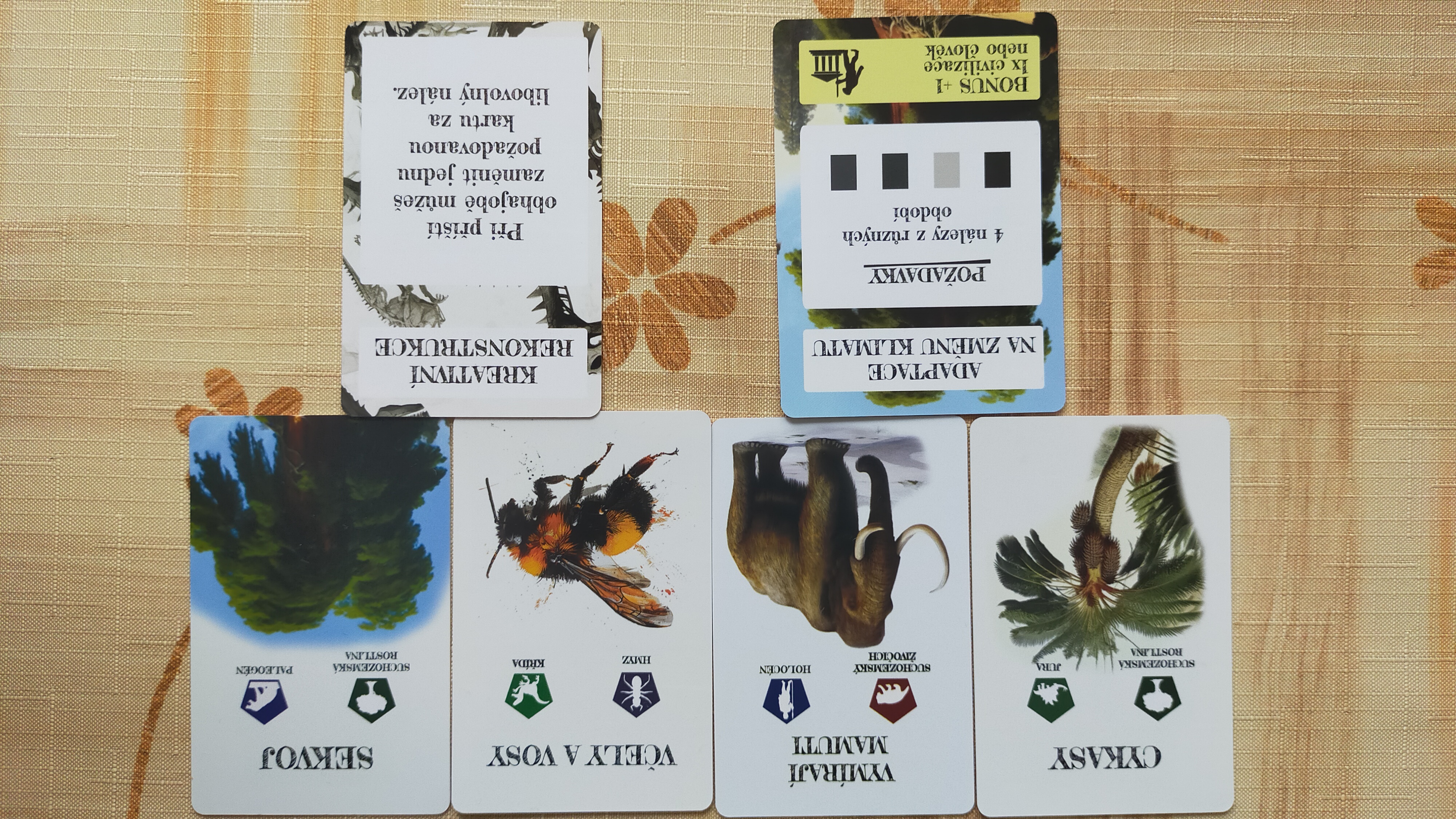Pravěk: Od trilobita k člověku