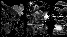 Crows: Fortune or Death