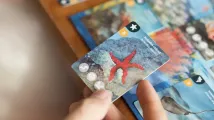 Biodio: Středozemní moře