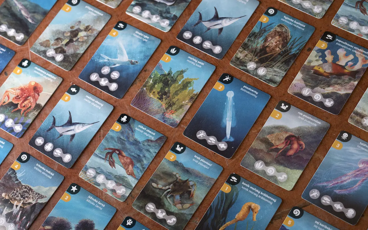 Biodio: Středozemní moře