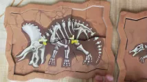 Archeo