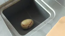 Archeo
