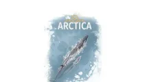 Arktida