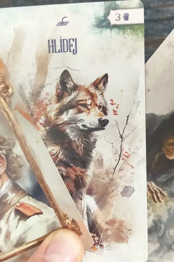 Karetní sólo gamebook Ve jménu krále je skvělý