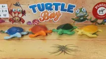 Turtle Bay
