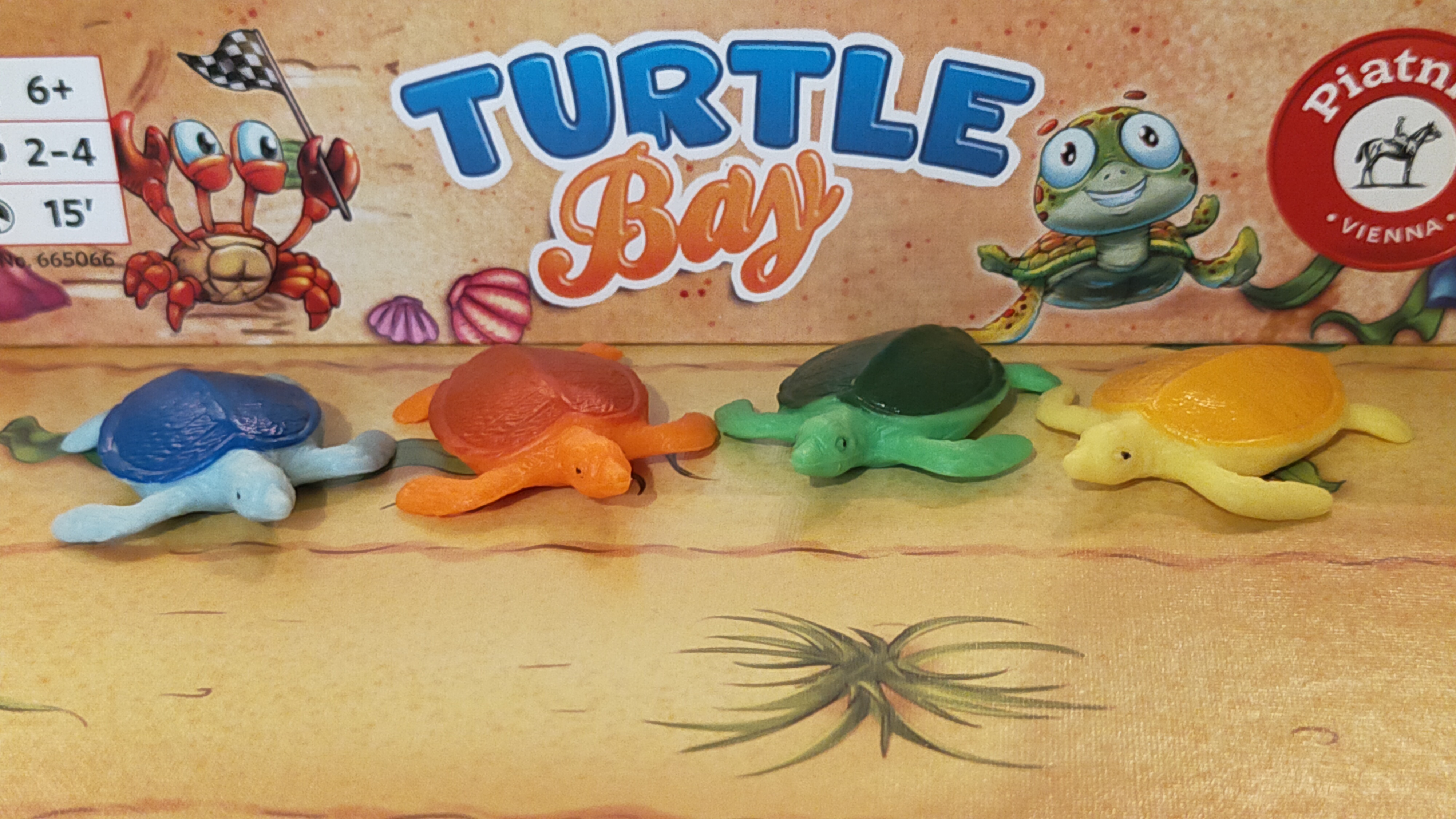 Turtle Bay